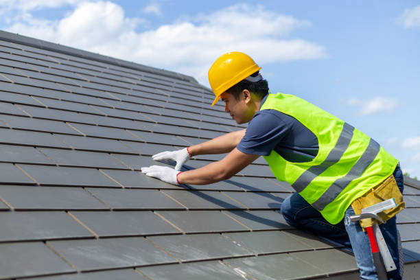 Best Roof Leak Repair  in Rainbow Lakes Estates, FL