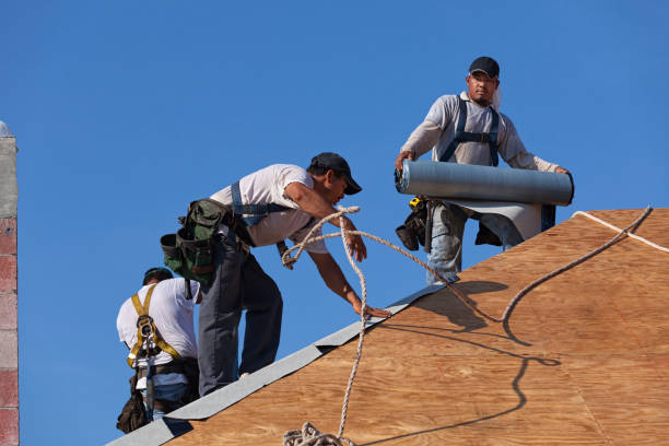 Quick and Trustworthy Emergency Roof Repair Services in Rainbow Lakes Estates, FL