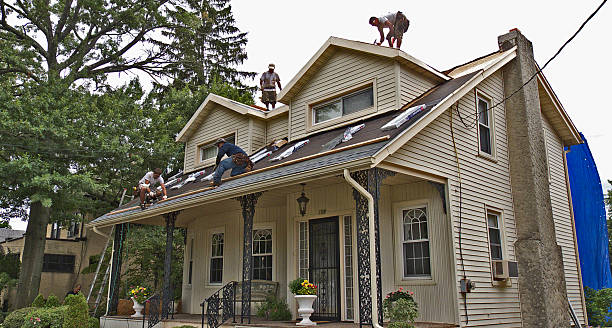Best Commercial Roofing Services  in Rainbow Lakes Estates, FL